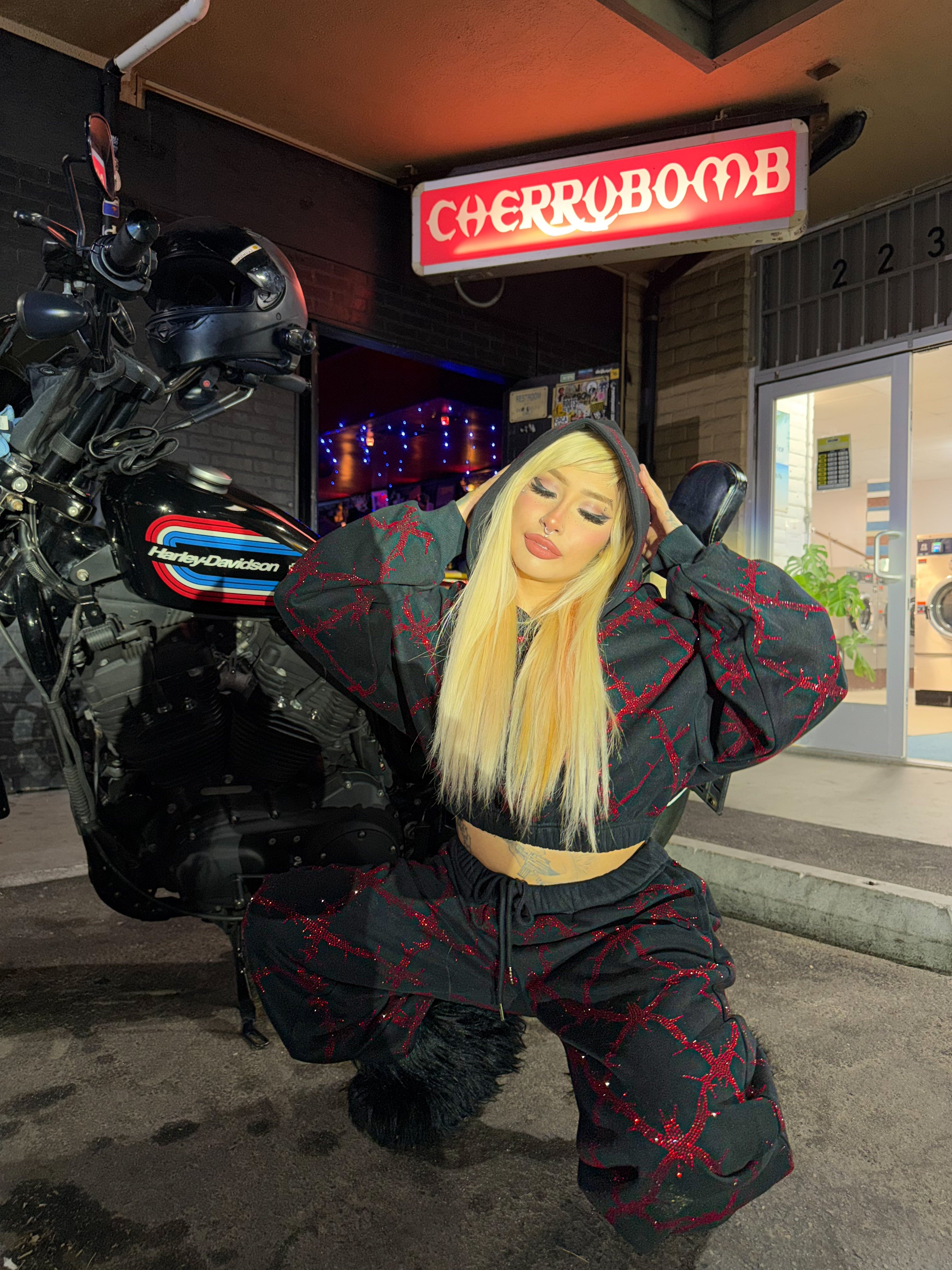 Barbed wire fence rhinestone sweatpants