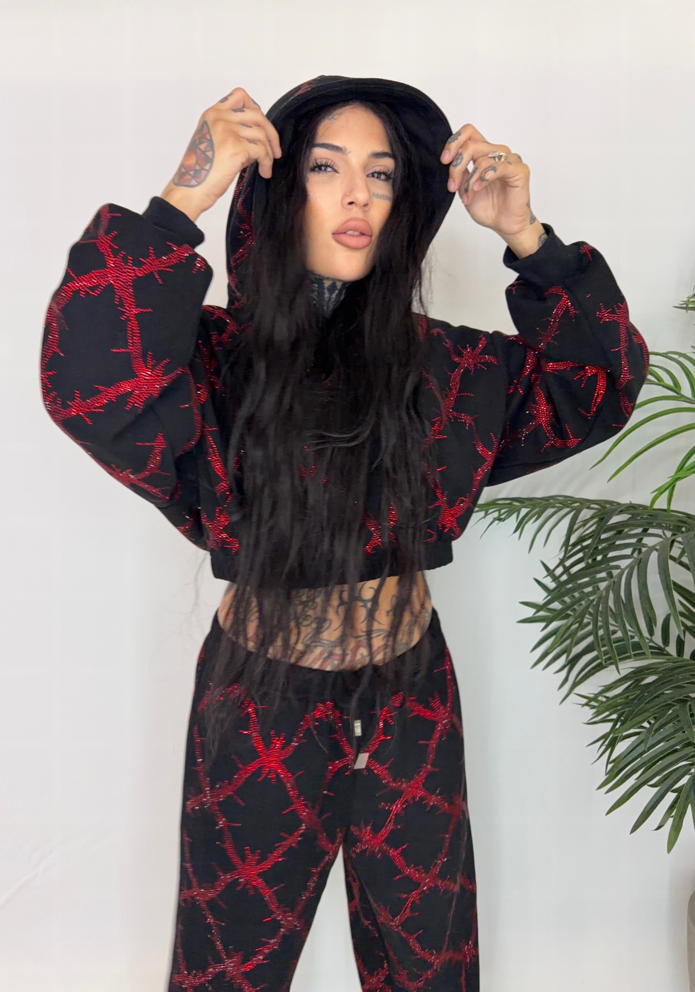 Barbed wire fence rhinestone crop hoodie