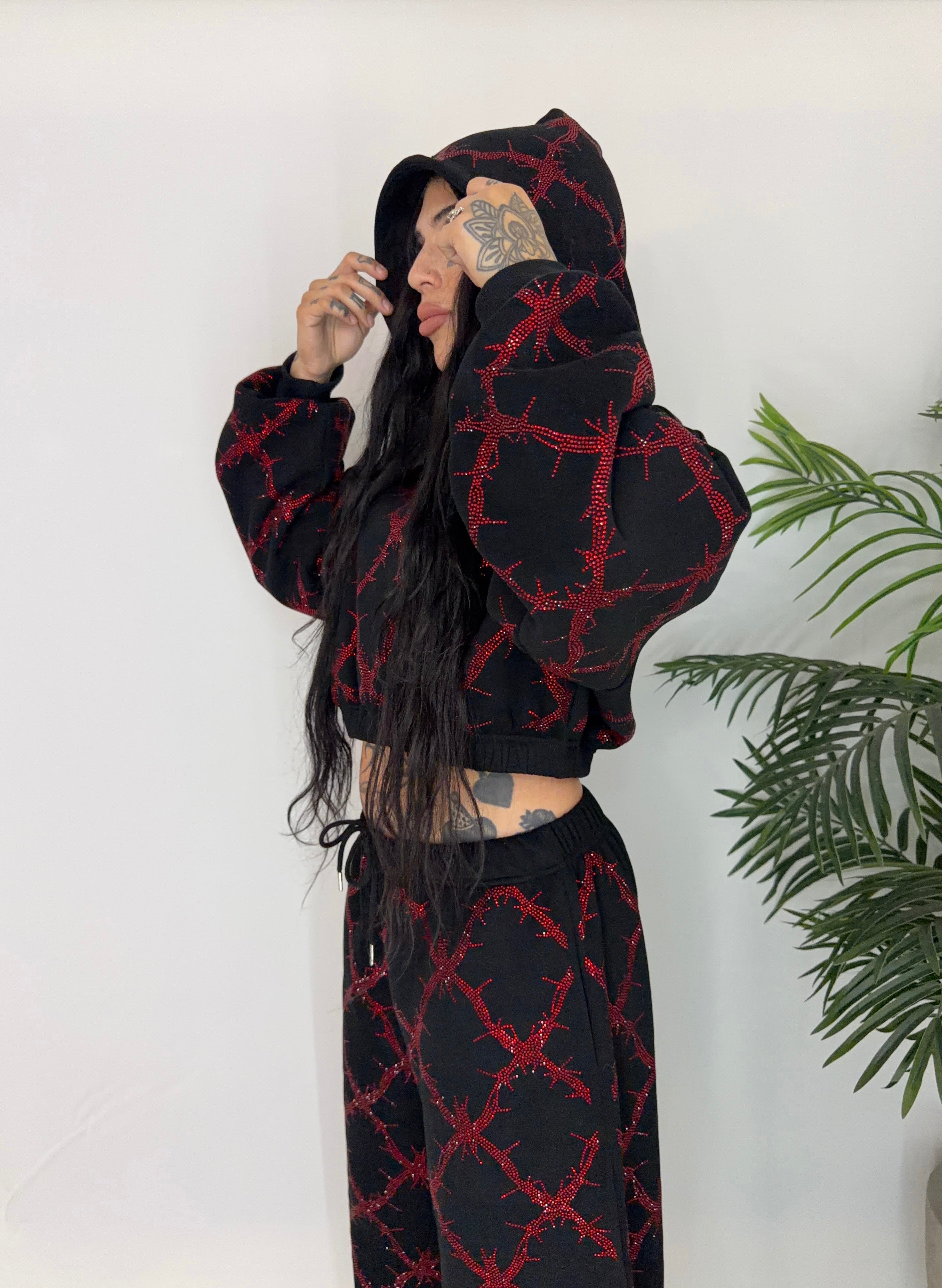 Barbed wire fence rhinestone crop hoodie