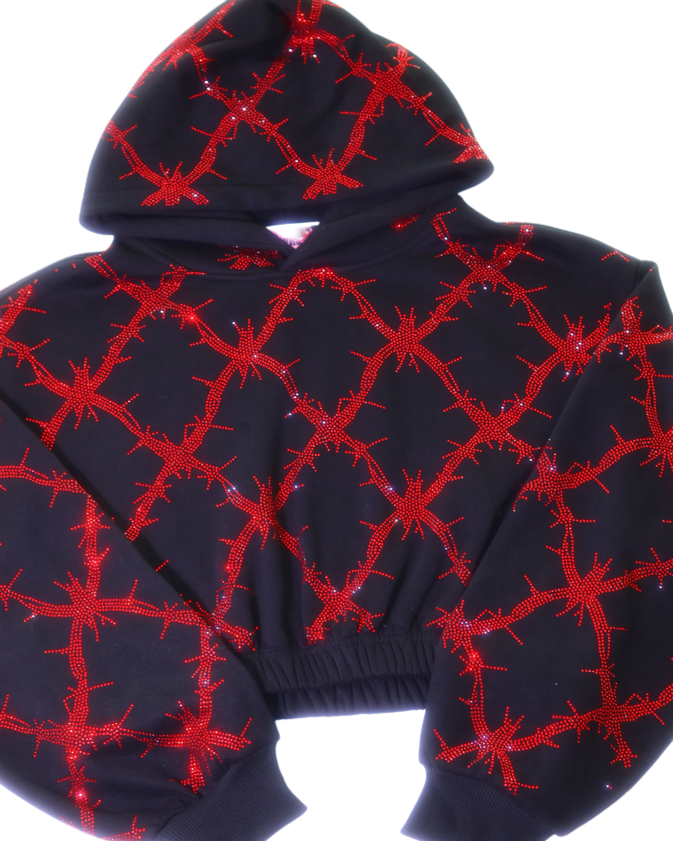 Barbed wire fence rhinestone crop hoodie