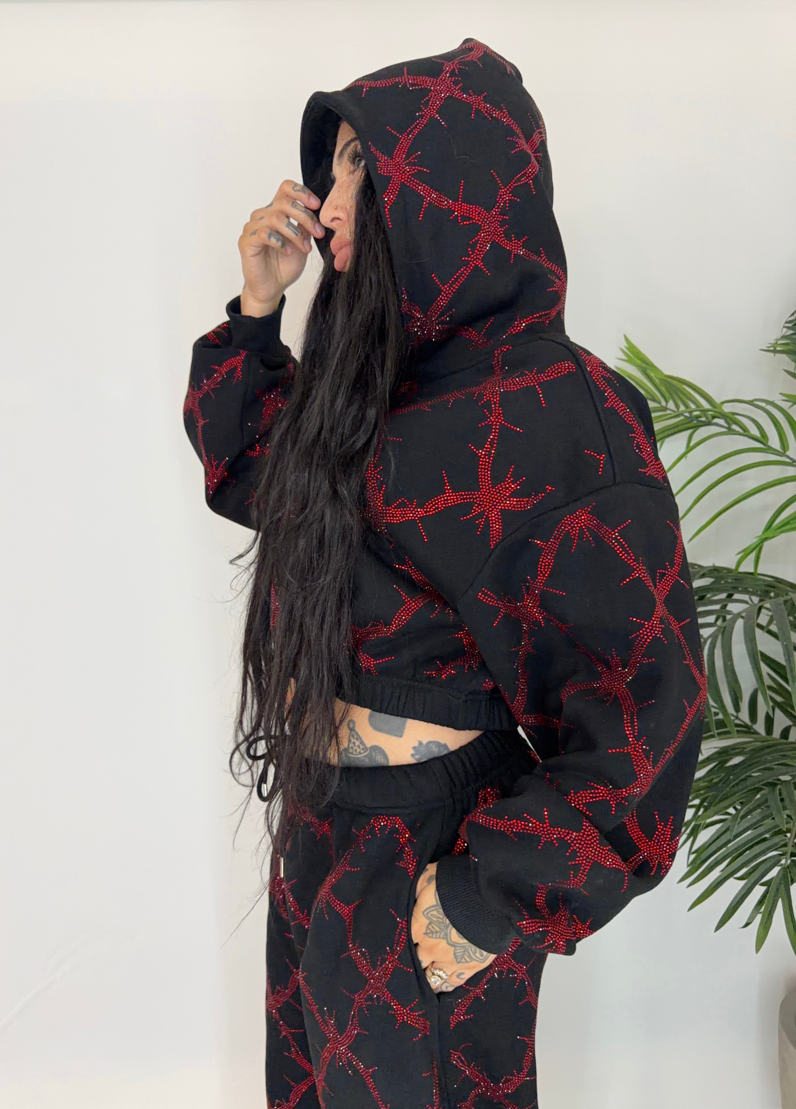 Barbed wire fence rhinestone crop hoodie