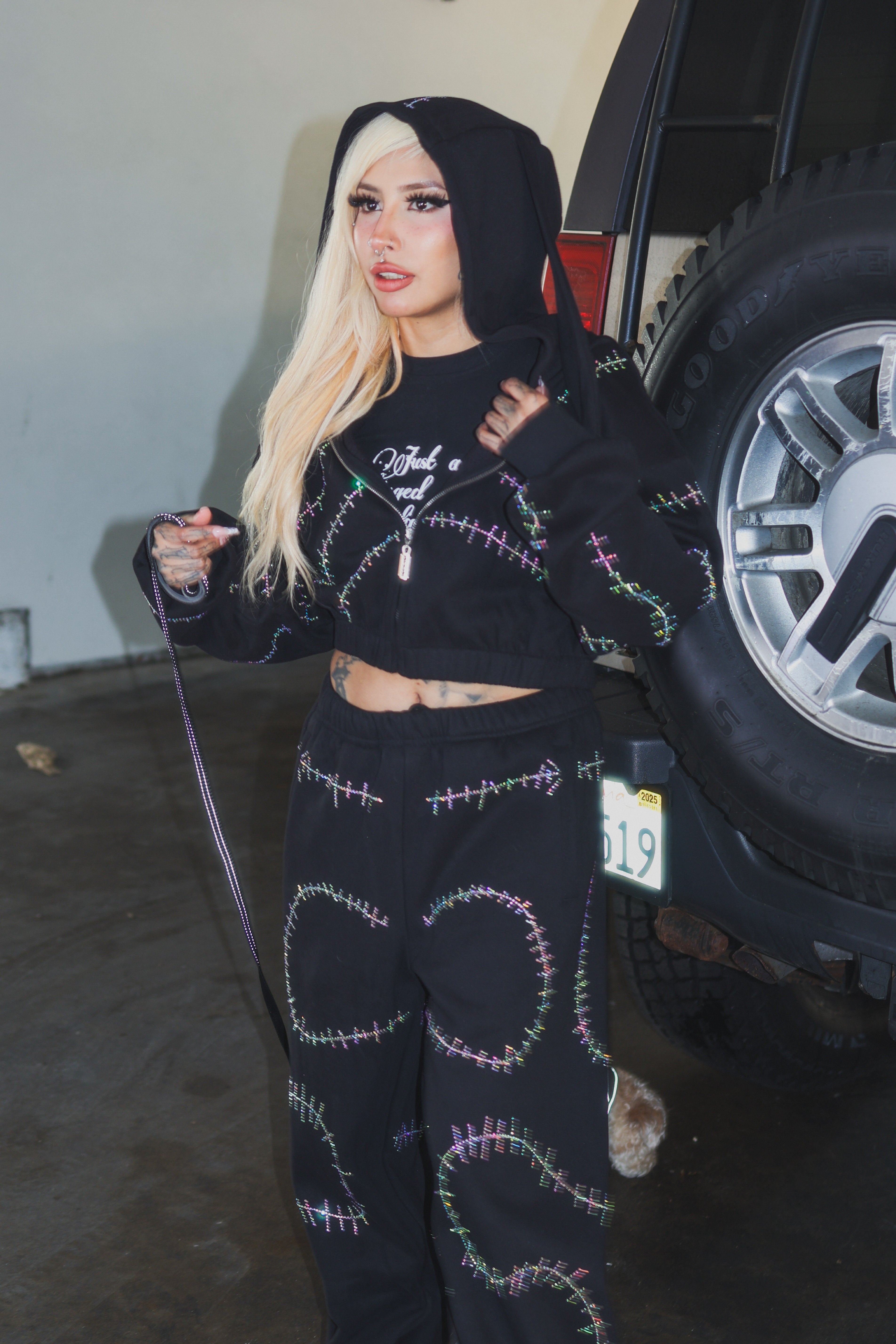 Rhinestone stitches bunny ears crop hoodie